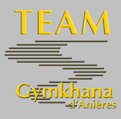 Logo team gymkhana
